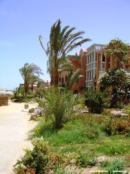 Hotel Sheraton Miramar Resort El Gouna 04239